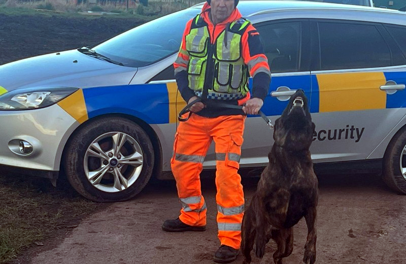 Dog Handling Suffolk