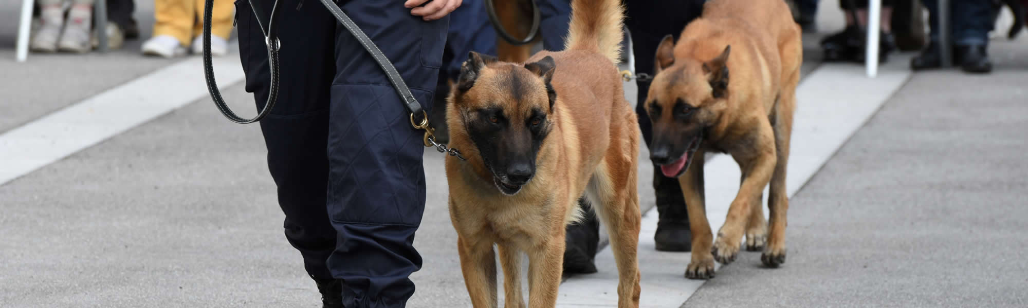 Contact Bates K9 Security