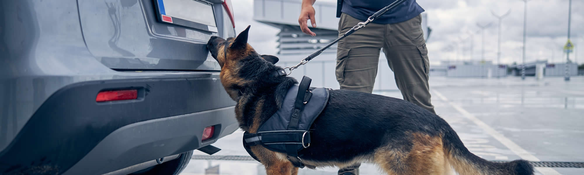 Bates K9 Security - Terms