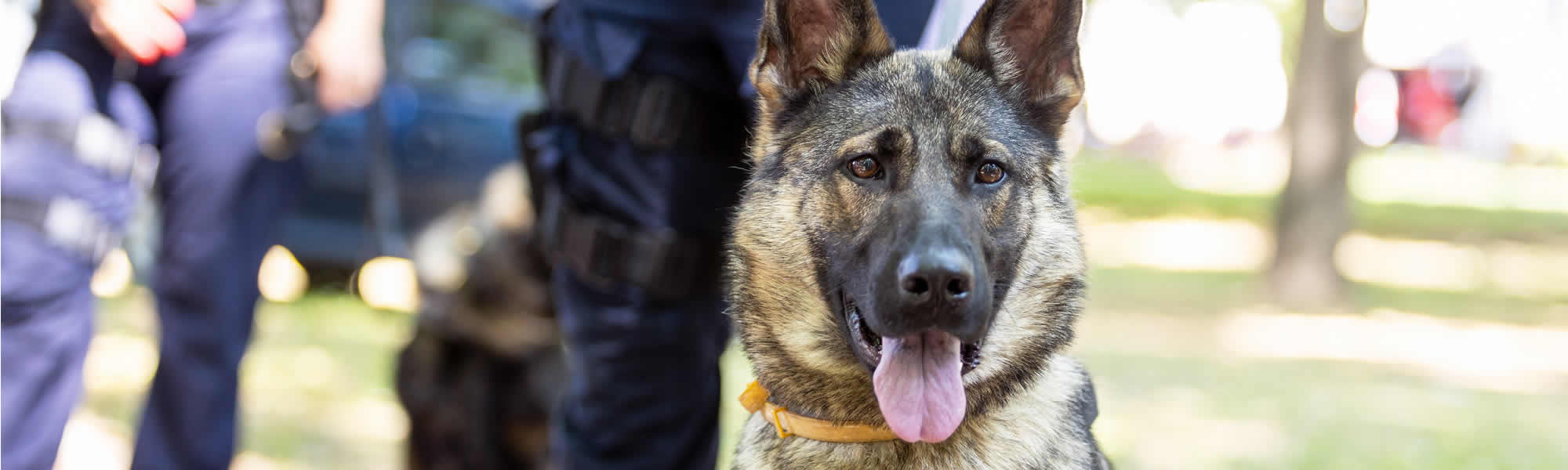 Bates K9 Security